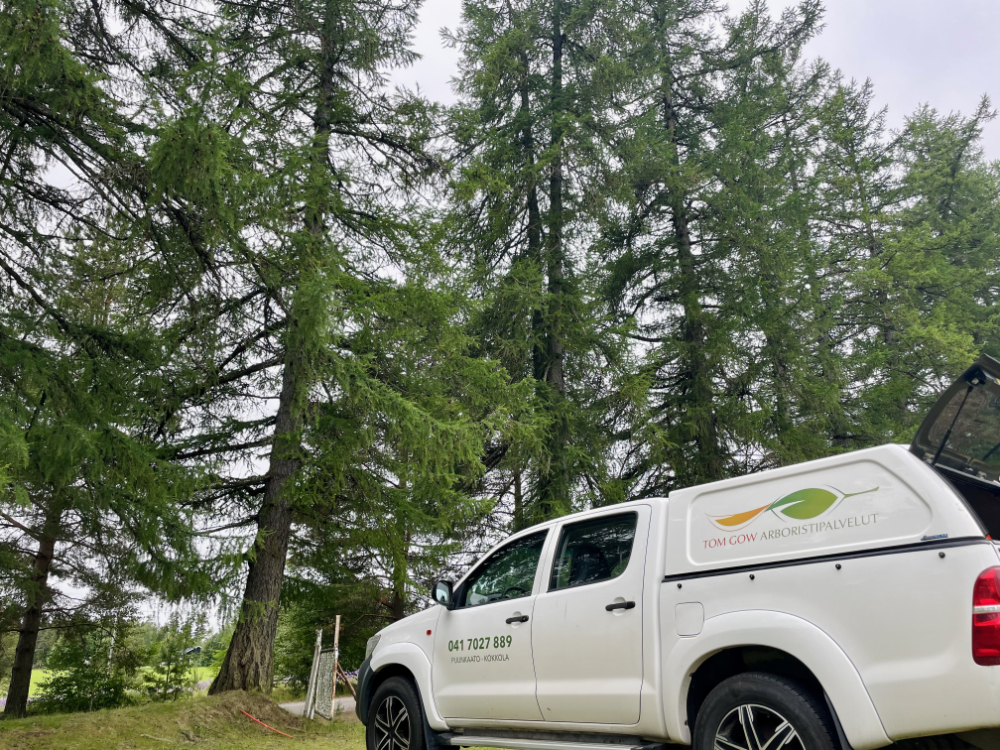 Puiden Kuntotarkistus Kokkola