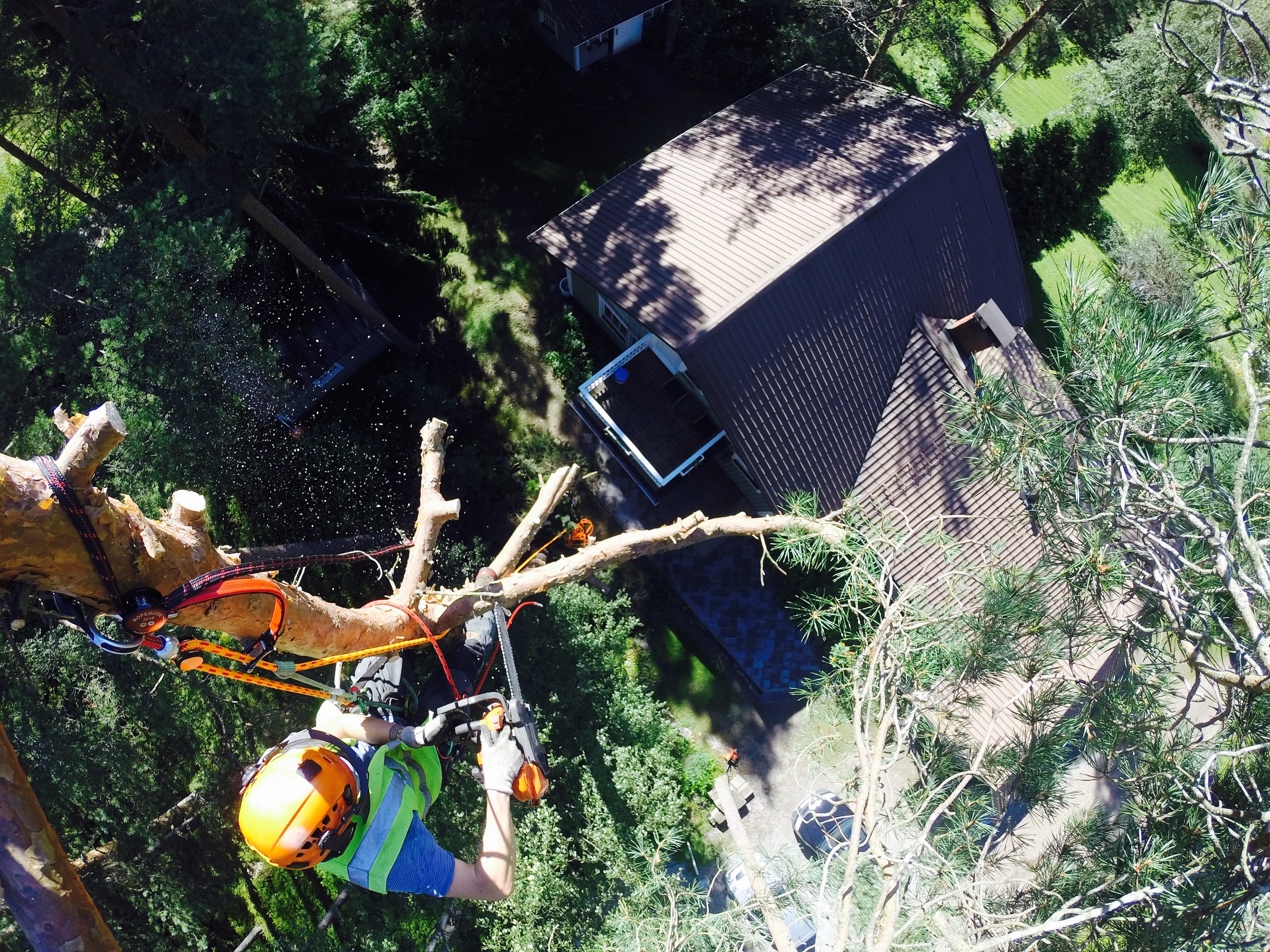 Kokkola Kiipeilykaato