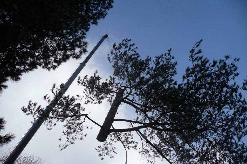 Pihapuiden poisto Kokkola